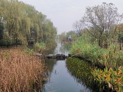 -武汉园博园(武汉自然博物馆)