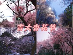 -吉林大学(南岭校区)
