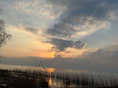 -西京湾花海