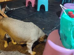 -抚琴第一烤(抚琴地铁站A口店)