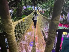 -正佳雨林生态植物园