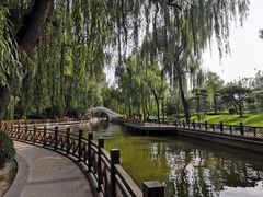 -迎泽公园