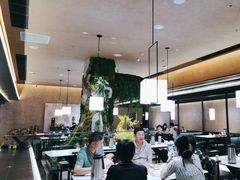 -阿露佳·舌尖上的安吉菜