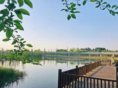 -白鹭湾湿地公园