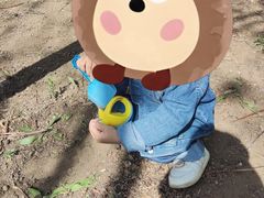 -丁香湖公园