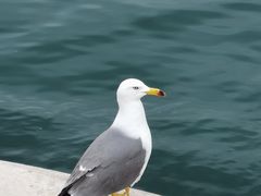-大连海昌东方水城