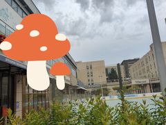 -天幕新彩云国际影城(激光巨幕店)