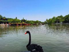 -西溪国家湿地公园