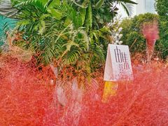 -重庆市江北嘴中央商务区中央公园