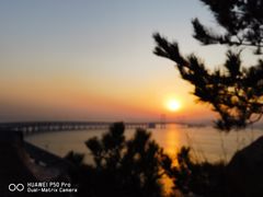 -星海湾跨海大桥