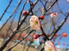 -艾山风景名胜区