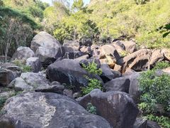 -广州白江湖森林公园