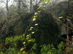 -祁门牯牛降观音堂风景区