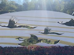 -西双版纳原始森林公园