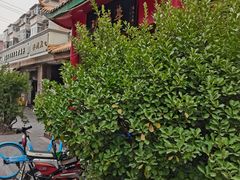 -砂锅李(九江路店)