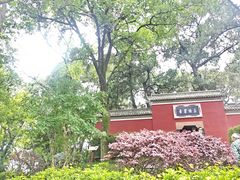 -子昂故里文化旅游区