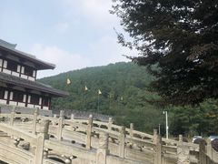 -孙武文化园-停车场