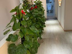 -手舒·采耳按摩·影院足道spa(莫愁湖东路店)