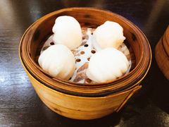 添运来虾饺皇-添运来(茶园奥园广场店)