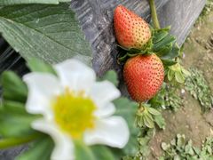 -会江钓鱼钓虾烧烤场