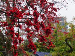 -广州中山纪念堂