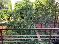 -不止轰趴独栋别墅户外烧烤(颐西庄园店)