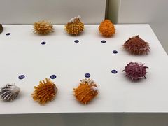 -青岛贝壳博物馆