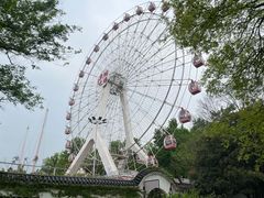 -东湖磨山景区