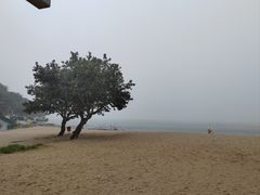 -南丫岛