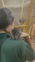 -未来动物城主题公园(正弘城店)