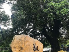 -东山湖公园