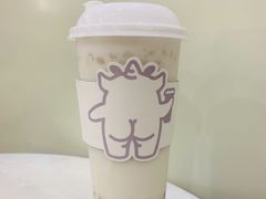 双蛋小皇椰（白屁屁）-茶力的小怪兽(梅林卓悦汇店)
