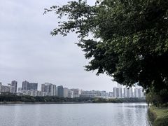 -南宁南湖公园