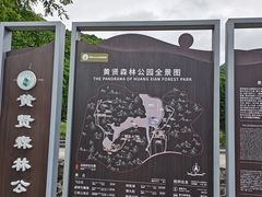 -黄贤森林公园