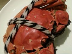-新光酒家·河豚·海鲜·蟹料理(浦东店)