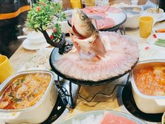-清真军邺·金富苑肥牛(石坡街旗舰店)