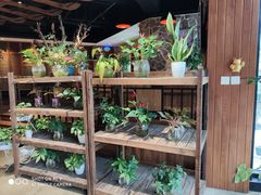 -糕潮(森兰店)