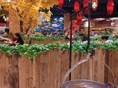 -老滇山寨•云南特色菜•地方菜•民族风情歌舞表演(金碧店)