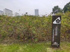 -九里河湿地公园