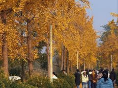 -白鹭湾湿地公园