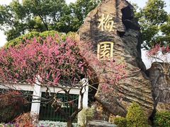 -无锡梅园公园