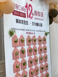 -银座Calla日式美容沙龙