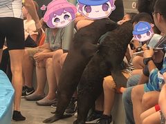 -尼莫海豚馆