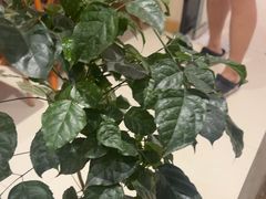 -筋骨堂热敷推拿按摩(翠华路店)