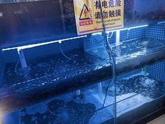 -三子烤羊腿·海鲜(弘阳店)