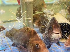 -高佳庄·舟山海鲜(海景旗舰店)