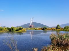 -芒洲湿地公园