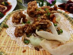 -丁老爷子苏香圆