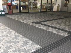 -香港大学