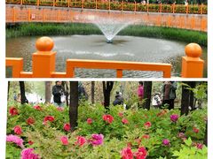 -太阳宫公园